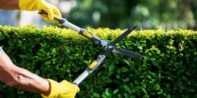Garden Maintenance - Herdging