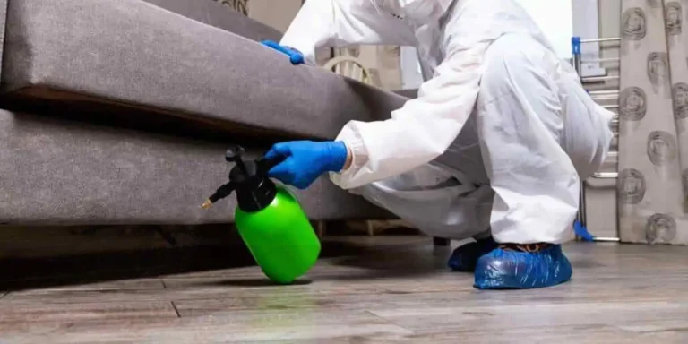 Domestic Disinfection and Sanitization